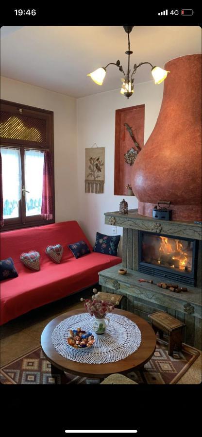 Η Θεα Traditional House Makrinitsa Bagian luar foto