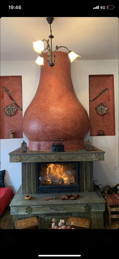 Η Θεα Traditional House Makrinitsa Bagian luar foto