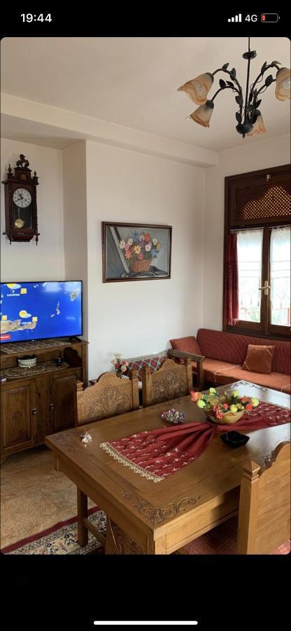 Η Θεα Traditional House Makrinitsa Bagian luar foto