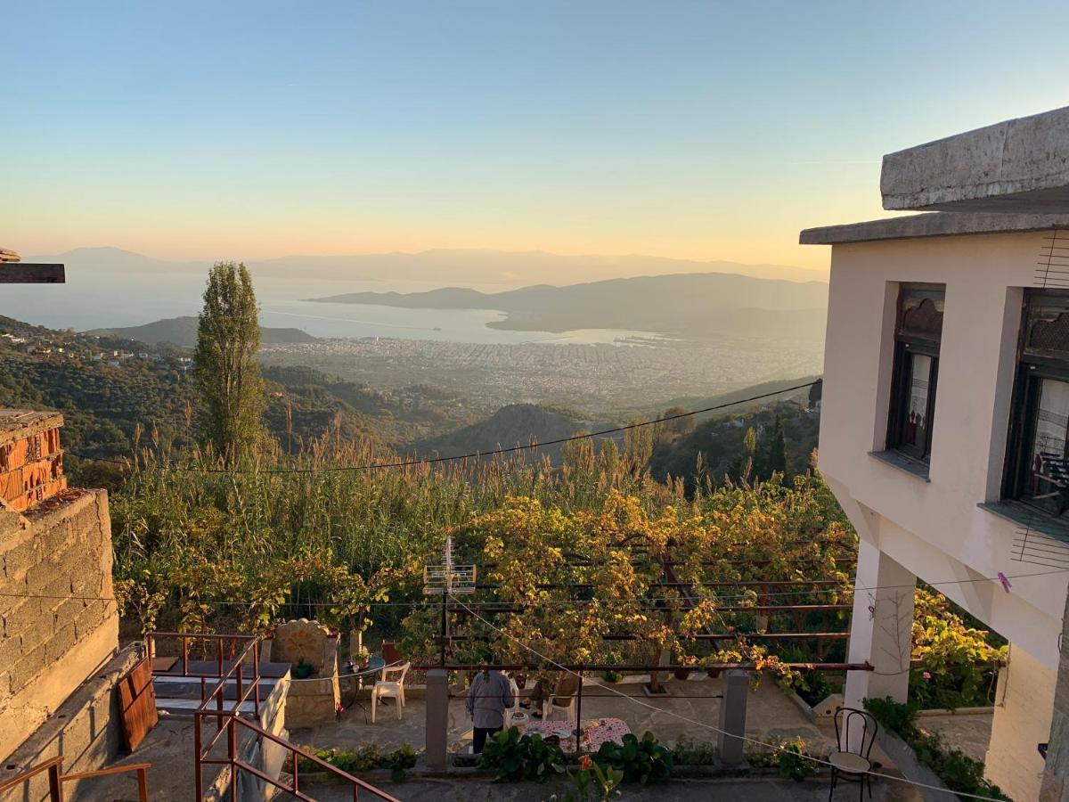 Η Θεα Traditional House Makrinitsa Bagian luar foto