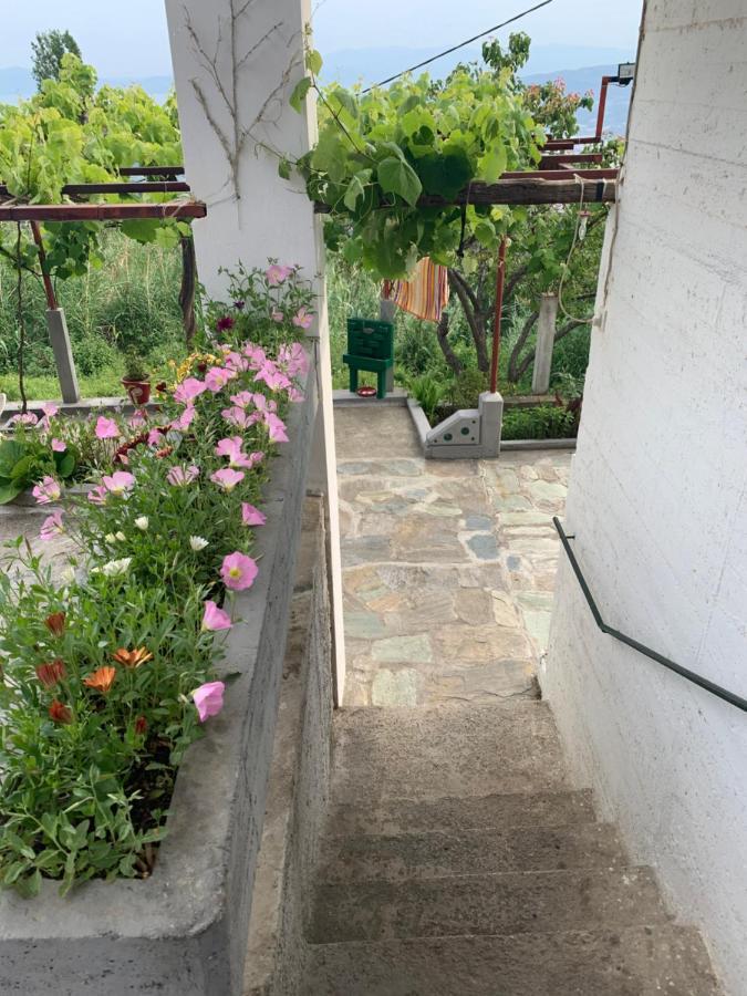 Η Θεα Traditional House Makrinitsa Bagian luar foto